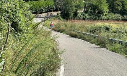 Il Comune finanzia un nuovo giro di sfalci prima dell'inverno